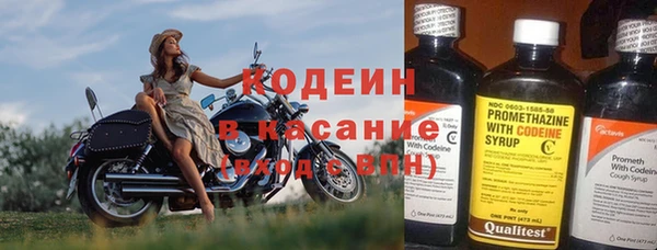 хмурый Балабаново