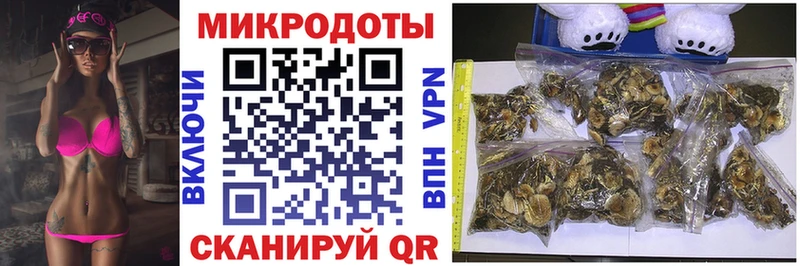 Галлюциногенные грибы мицелий Вяземский